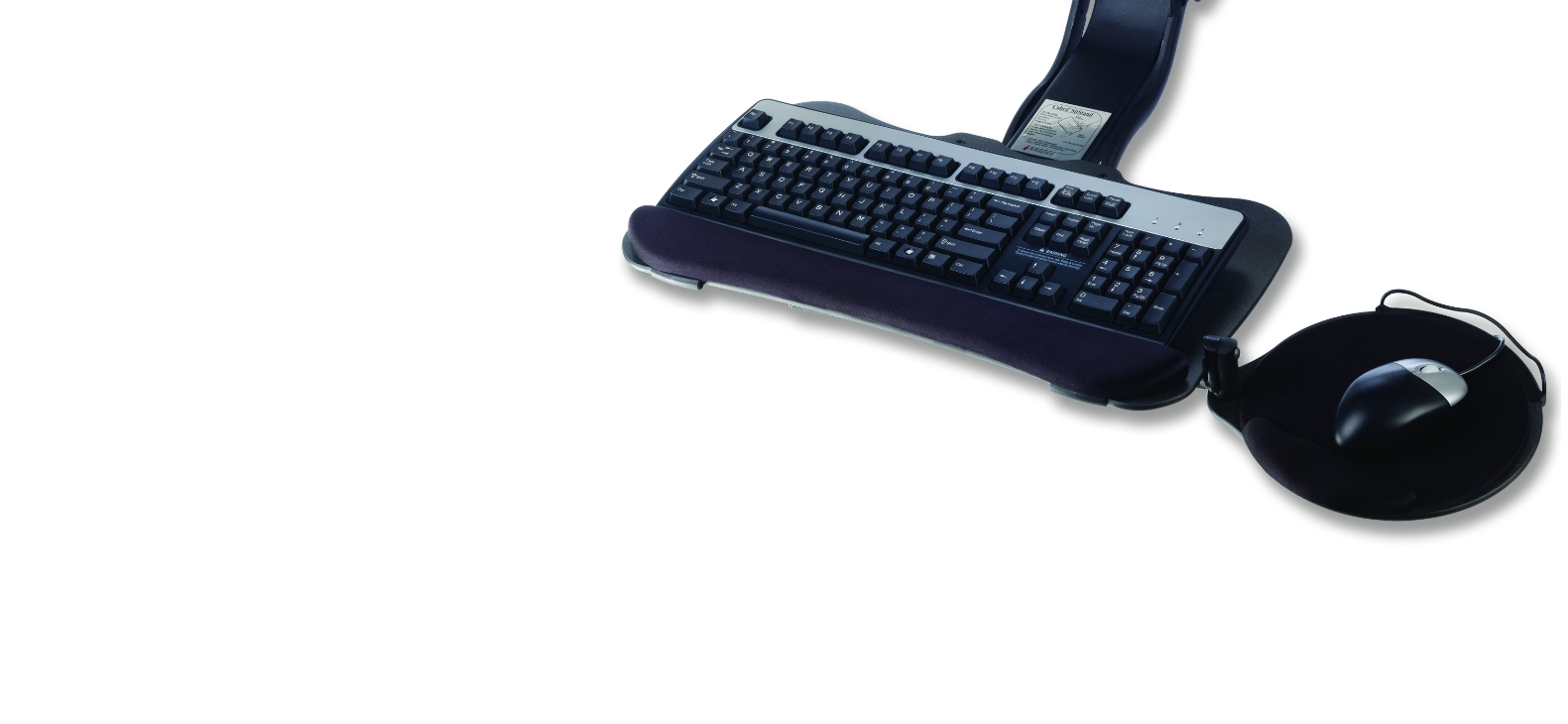 Intellaspace